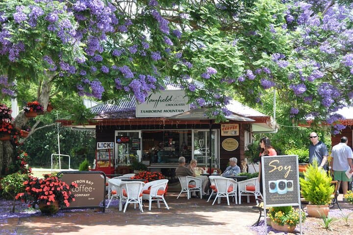 Tamborine Mountain Food, Wine & Rainforest Day Tour - Gold Coast photo 4