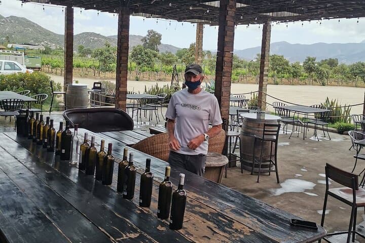 Valle de Guadalupe Wine Country Day Trip from San Diego: Tasting Tour and Local Eats photo 4