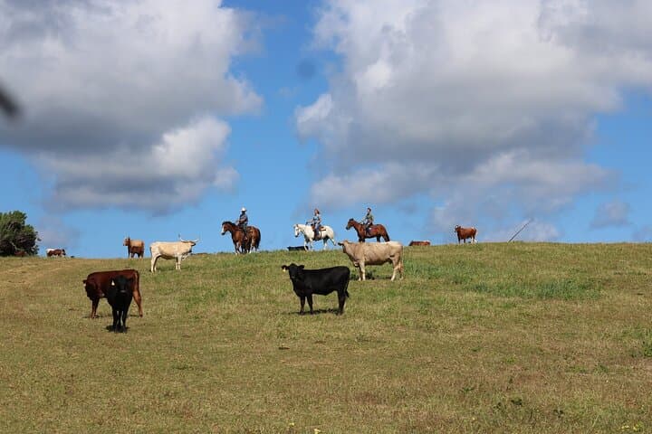 North Shore Scenic Horseback Ride at Gunstock Ranch — 1 Hour Trail Ride on Oahu photo 5