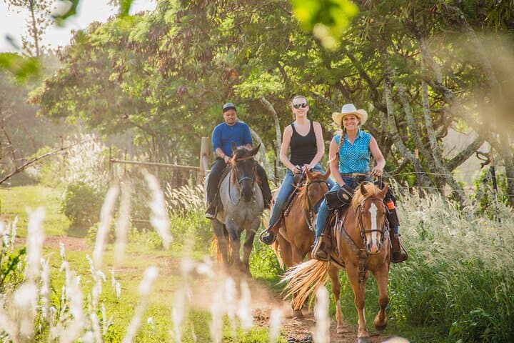 North Shore Scenic Horseback Ride at Gunstock Ranch — 1 Hour Trail Ride on Oahu photo 6