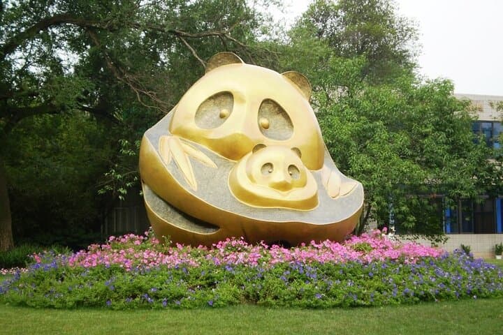 Giant Pandas and the Leshan Giant Buddha: Chengdu Day Trip photo 4