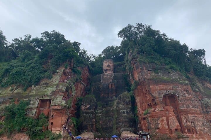 Giant Pandas and the Leshan Giant Buddha: Chengdu Day Trip photo 6