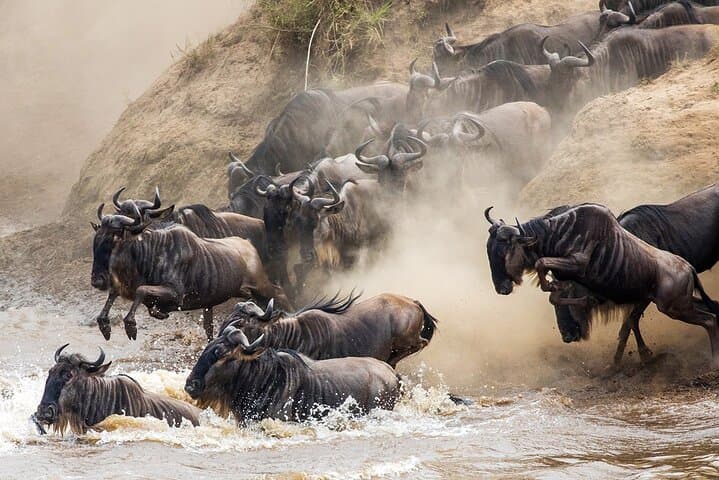 4-Day Tarangire, Serengeti & Ngorongoro Camping Safari from Arusha photo 4