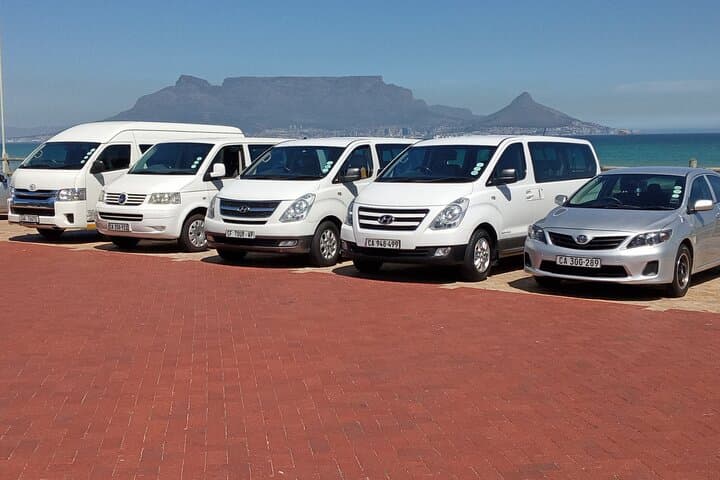 Gansbaai Shark Cage Diving and Benguela Cove Wine Tasting — Private Full-Day from Cape Town