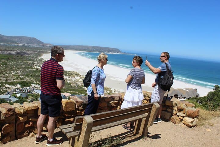 Gansbaai Shark Cage Diving and Benguela Cove Wine Tasting — Private Full-Day from Cape Town photo 3
