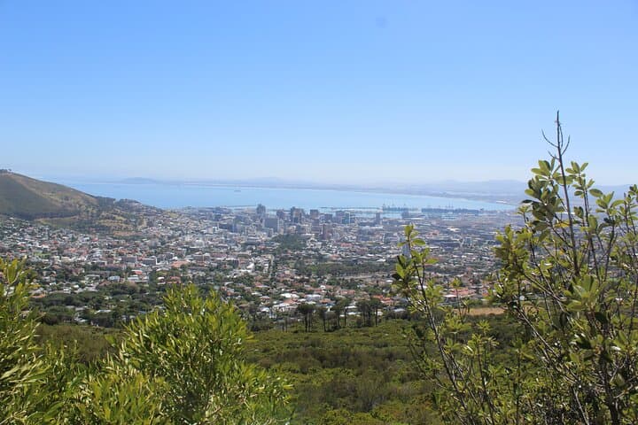 Gansbaai Shark Cage Diving and Benguela Cove Wine Tasting — Private Full-Day from Cape Town photo 6