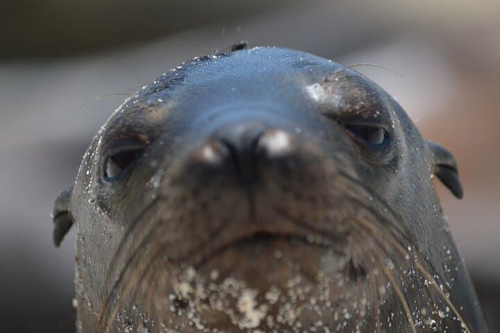 Galapagos First-Class 5-Day Puerto Ayora & Yacht Day Tours with Snorkeling photo 1