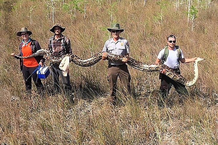 Private Everglades Airboat Rides from West Palm Beach: 90-Minute Guided Tour photo 4