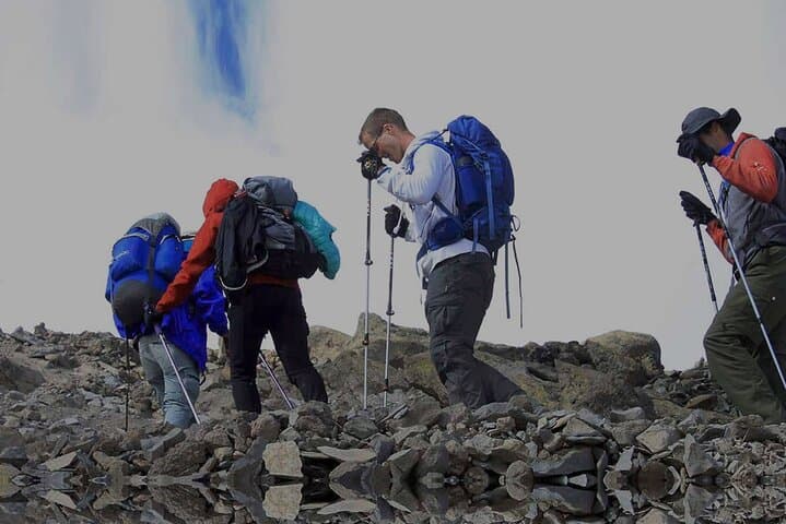 Private 6-Day Machame Route Kilimanjaro Climb from Arusha photo 3