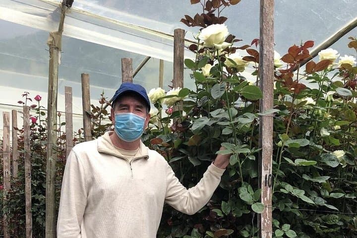 Papallacta Hot Springs Private Tour from Quito — Thermal Pools & Rose Plantation photo 4