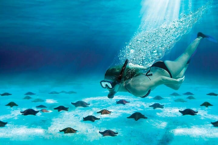 Snorkel Cozumel’s El Cielo and Reefs: Full-Day High-Speed Boat Adventure