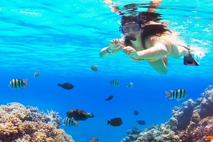Snorkel Cozumel’s El Cielo and Reefs: Full-Day High-Speed Boat Adventure photo 2