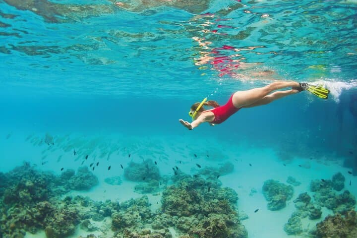 Snorkel Cozumel’s El Cielo and Reefs: Full-Day High-Speed Boat Adventure photo 3