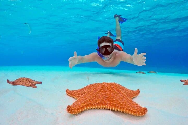 Snorkel Cozumel’s El Cielo and Reefs: Full-Day High-Speed Boat Adventure photo 4