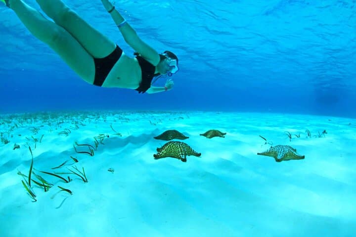 Snorkel Cozumel’s El Cielo and Reefs: Full-Day High-Speed Boat Adventure photo 5