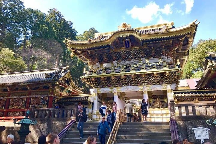 Morning Hike & Birdwatching at Nikko Toshogu Shrine: Cedar Forest Walk and Shrine Circuit