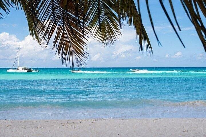 Saona Island Private Full-Day Tour from Bayahibe — Natural Pool, Beaches & Lunch photo 2