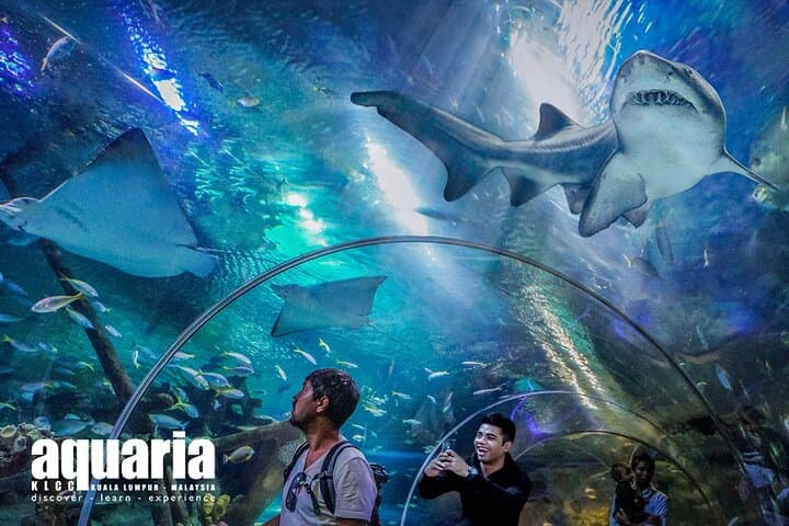 Aquaria KLCC: Kuala Lumpur's Living Ocean Tunnel & Full-Day Entry photo 3