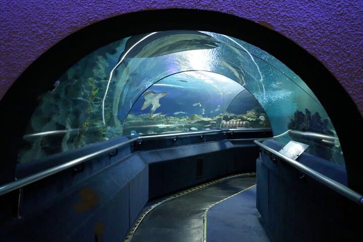 Aquaria KLCC: Kuala Lumpur's Living Ocean Tunnel & Full-Day Entry photo 6