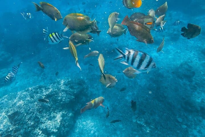 Blue Lagoon & Tanjung Jepun Snorkeling Day Trip — Padangbai with Kanto Lampo Waterfall photo 2