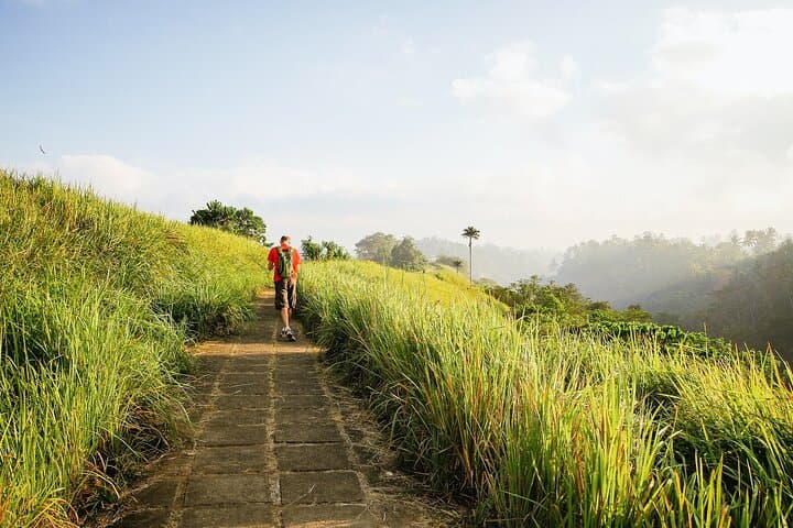 Ubud Romantic Jungle Tour: Floating Breakfast, Jungle Swing & Spa