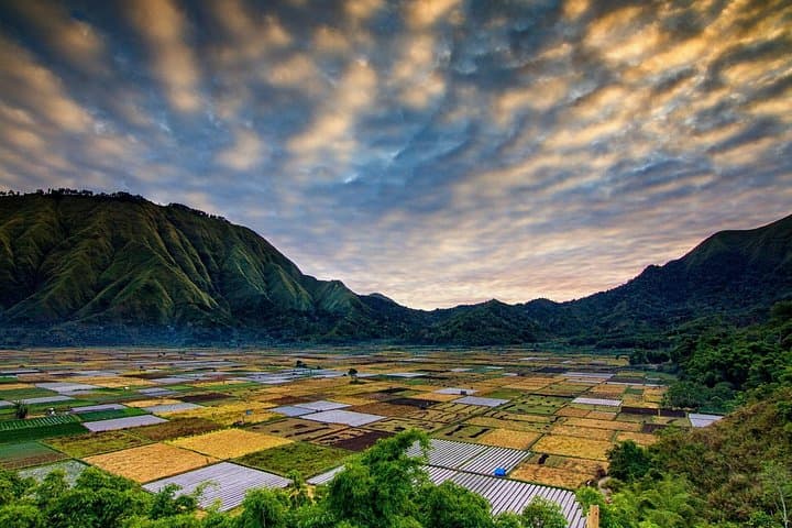 North Lombok Full-Day: Rinjani Views, Pusuk Pass & Sendang Gile Waterfall