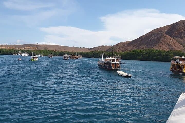 Sunset Snorkel at Komodo: Kelor, Menjarite & Kalong Half-Day Guide photo 5