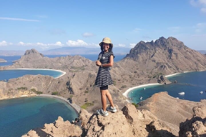 Komodo Speed-Boat Day Tour: Padar Hike, Dragons, Pink Beach & Manta Point