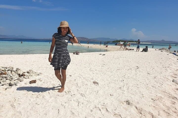 Komodo Speed-Boat Day Tour: Padar Hike, Dragons, Pink Beach & Manta Point photo 2