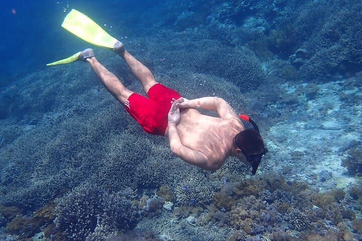 Discover Nusa Islands: A Full-Day Adventure from Bali photo 4