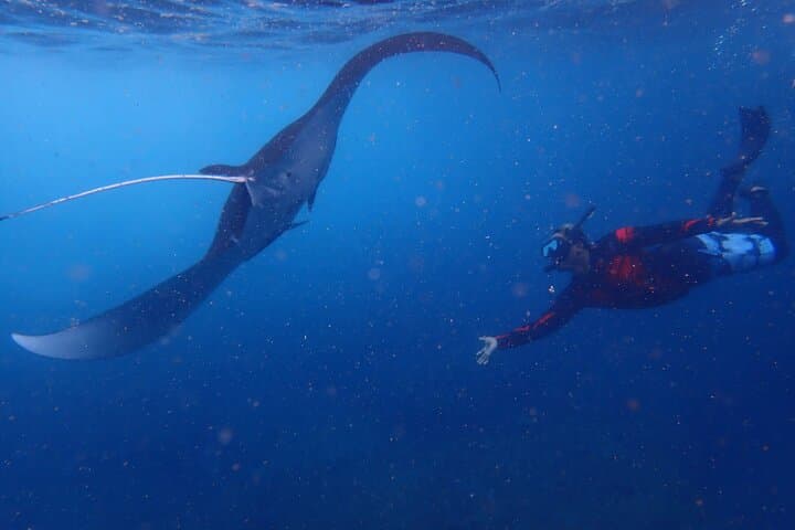 Discover Nusa Islands: A Full-Day Adventure from Bali photo 3