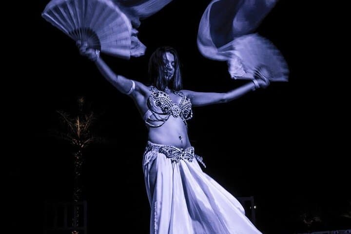 Dubai Red Dunes Private Evening Desert Safari with BBQ & Live Shows photo 4
