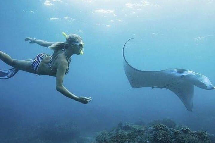 Discover Nusa Islands: A Full-Day Adventure from Bali