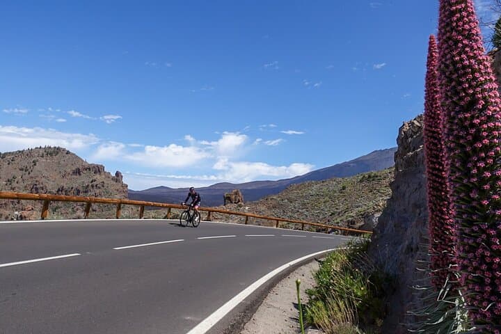 Teide Road Cycling Route: Vilaflor to Playa de las Américas photo 5