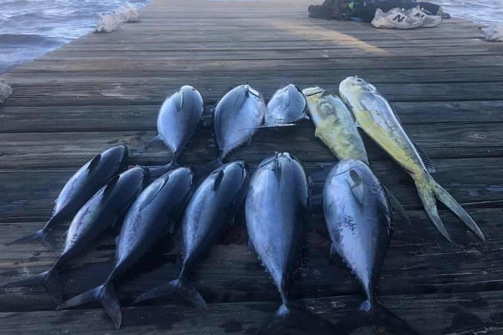 Private Beach BBQ, Snorkeling & Fishing on Ambergris Caye (San Pedro) photo 4