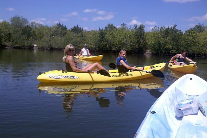 Tandem Kayak at Manatee Cove: 1-Hour Wildlife Paddle on the Indian River Lagoon photo 1