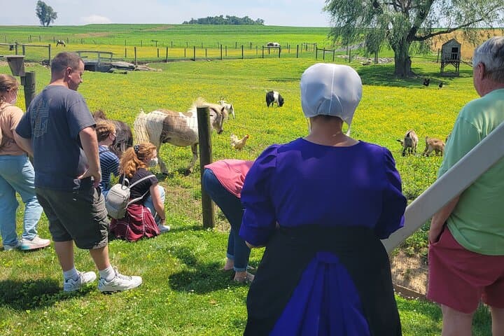 Authentic Amish Home Meal & Cultural Tour in Lancaster County photo 3