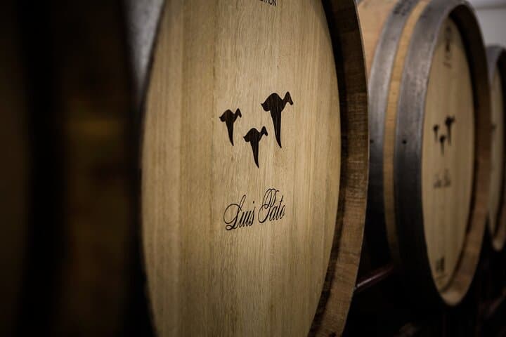 Aveiro & Bairrada: Private Sparkling Wine Cellars and Piglet Tasting Tour photo 2