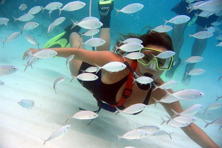 SNUBA Saint Lucia: Shallow-Water Dive Adventure Off Gros Islet photo 3