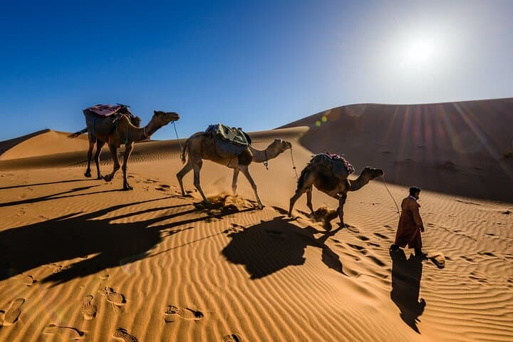 Big Morocco Tour: 15-Day Casablanca to Marrakech Adventure photo 2