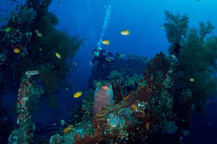 Tulamben USS Liberty Dive: Explore Bali's Most Accessible Shipwreck