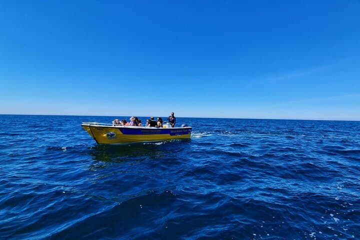 Benagil Cave Express Boat Tour — Quick Coastal Cruise in the Algarve photo 5