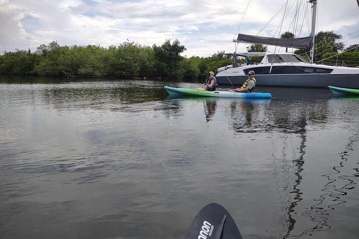 Manatee Cove Kayak Rental: 1-Hour Single Kayak on the Indian River Lagoon photo 3
