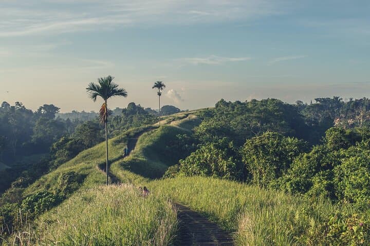 Ubud Romantic Jungle Tour: Floating Breakfast, Jungle Swing & Spa photo 4
