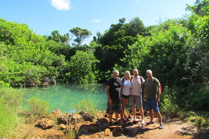 Bermuda Hidden Gems Summer Excursion: Tom Moore's Jungle, Blue Hole & Pink Sand Snorkel photo 4