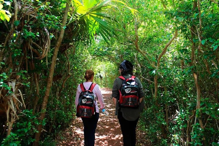 Bermuda Hidden Gems Summer Excursion: Tom Moore's Jungle, Blue Hole & Pink Sand Snorkel photo 6