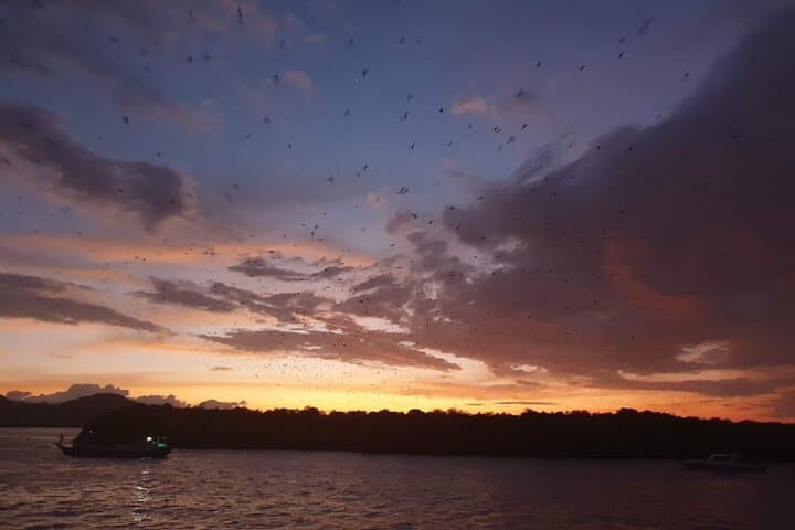 3-Day Komodo Liveaboard: Padar Sunrise, Komodo Dragons & Manta Point photo 5