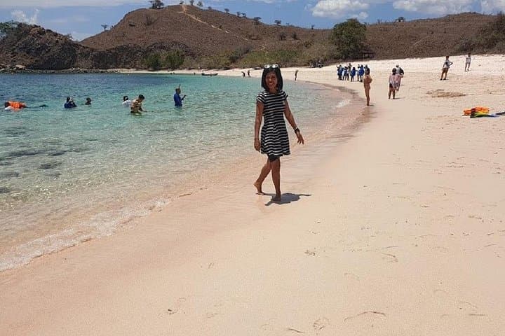 Komodo Island Hopping by Speed Boat: Padar, Pink Beach & Manta Points from Labuan Bajo photo 2