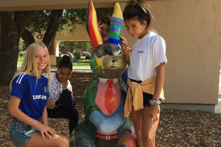 Explore Sarasota on Foot: Crazy Dash Urban Scavenger Hunt photo 2