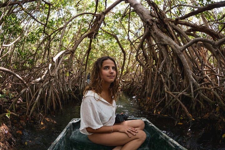 Sisal Kayak & Magic Town Private Tour — Mangroves, Freshwater Spring and Birdlife